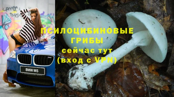 2c-b Алзамай