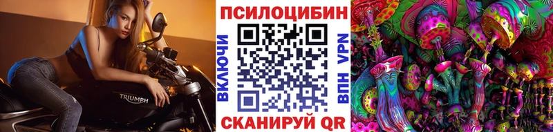 Псилоцибиновые грибы Magic Shrooms  Купить  Сельцо 
